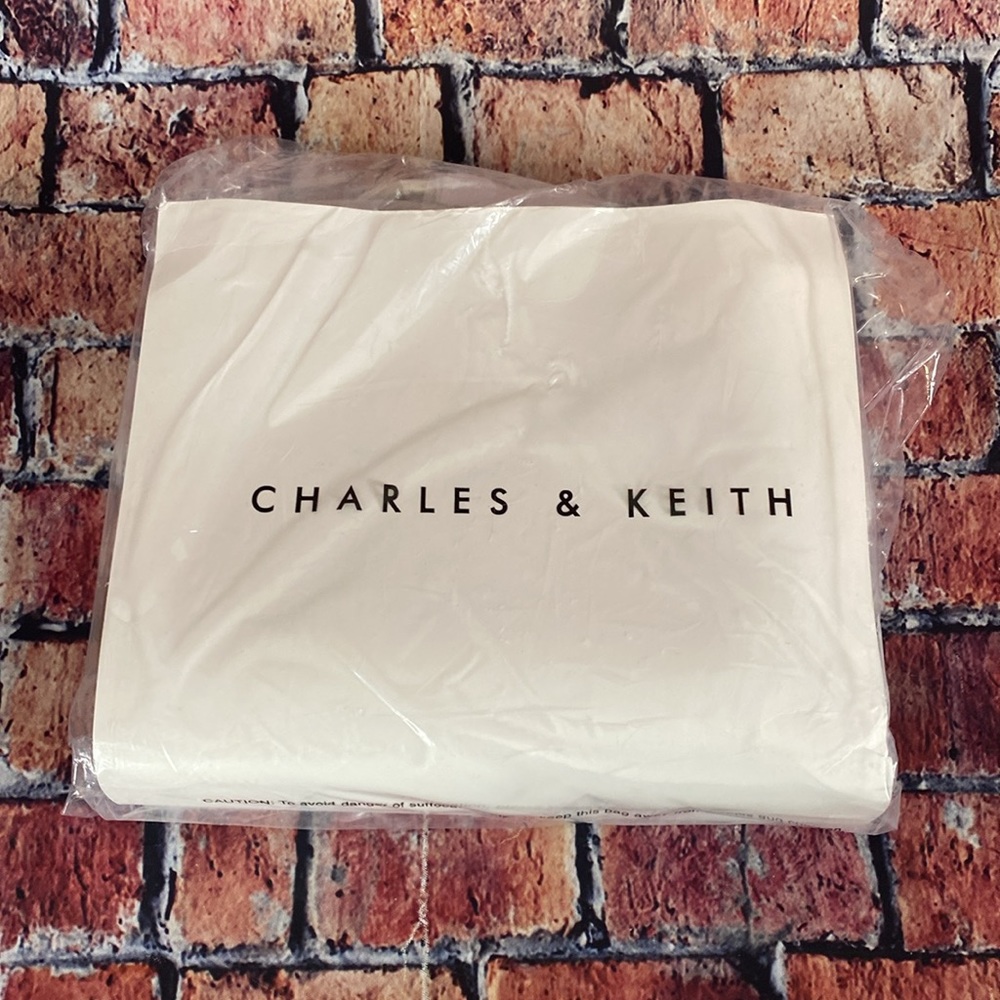 Charles & Keith Winslet Canvas Belted Hobo Bag - Chocolate - Picture 4 of 5